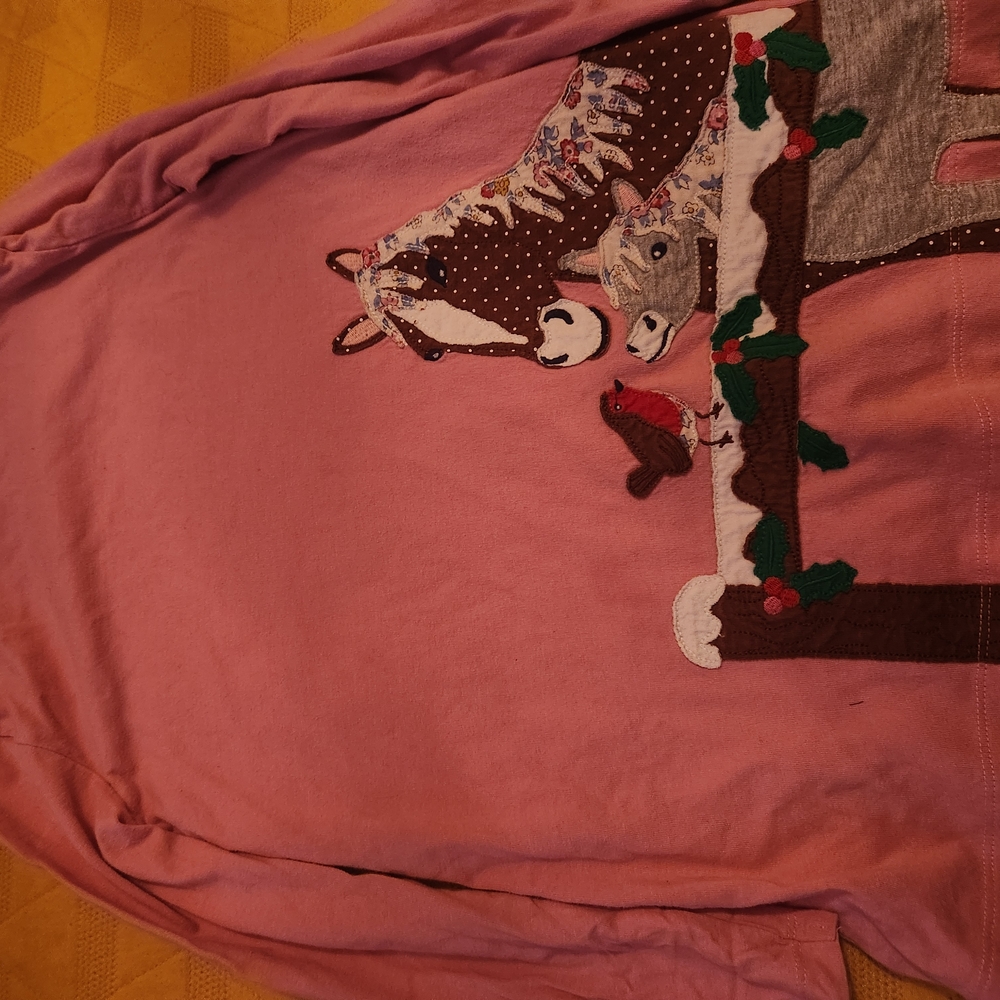 Mini Boden Pink Raglan Long Sleeve Dress